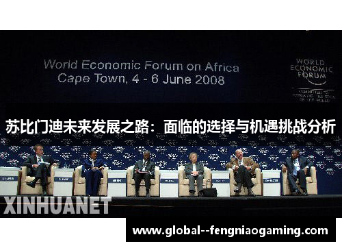 苏比门迪未来发展之路：面临的选择与机遇挑战分析