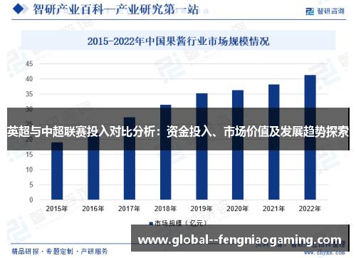 英超与中超联赛投入对比分析：资金投入、市场价值及发展趋势探索