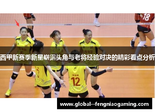 西甲新赛季新星崭露头角与老将经验对决的精彩看点分析