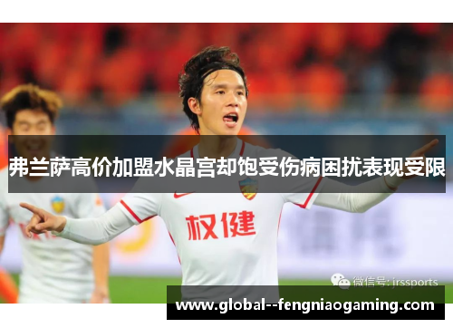 弗兰萨高价加盟水晶宫却饱受伤病困扰表现受限