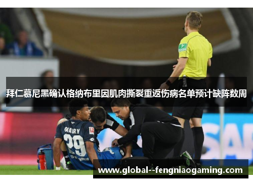 拜仁慕尼黑确认格纳布里因肌肉撕裂重返伤病名单预计缺阵数周