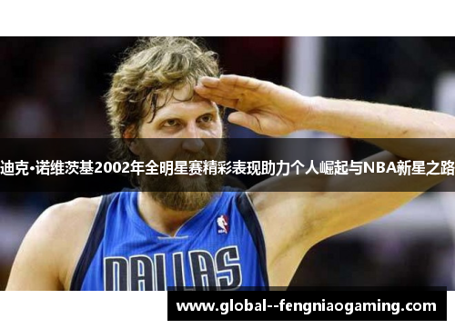 迪克·诺维茨基2002年全明星赛精彩表现助力个人崛起与NBA新星之路