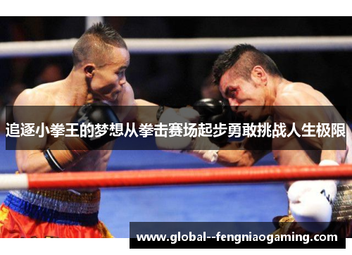 追逐小拳王的梦想从拳击赛场起步勇敢挑战人生极限