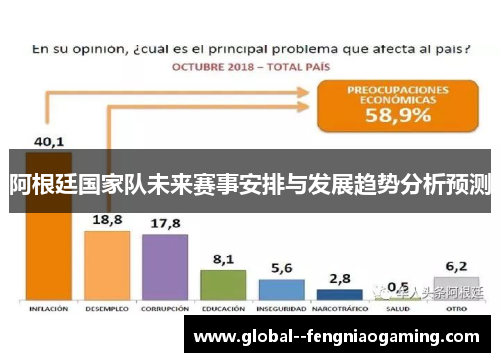 阿根廷国家队未来赛事安排与发展趋势分析预测