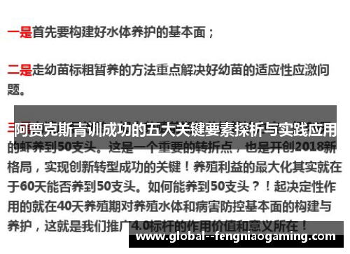 阿贾克斯青训成功的五大关键要素探析与实践应用