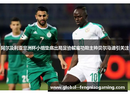 阿尔及利亚非洲杯小组垫底出局足协解雇功勋主帅贝尔马迪引关注 阿尔及利亚非洲杯小组垫底出局足协解雇功勋主帅贝尔马迪引关注
