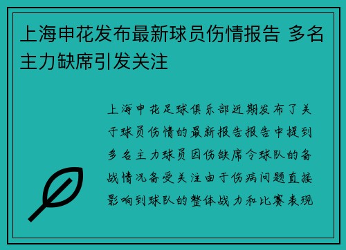 上海申花发布最新球员伤情报告 多名主力缺席引发关注