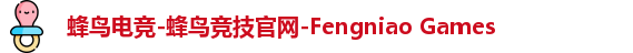 蜂鸟电竞公司